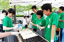 文化祭の様子